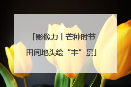 影像力丨芒种时节 田间地头绘“丰”景