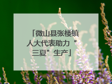 微山县张楼镇人大代表助力“三夏”生产