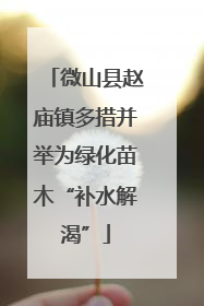微山县赵庙镇多措并举为绿化苗木“补水解渴”