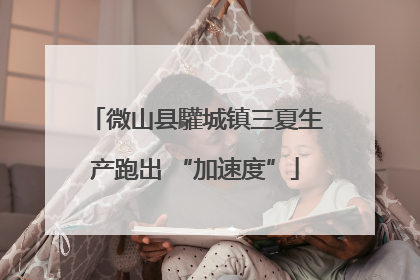 微山县驩城镇三夏生产跑出 “加速度”