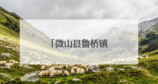 微山县鲁桥镇“微湖女性成长课堂”开讲