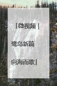 微视频｜鹭岛新篇 向海而歌