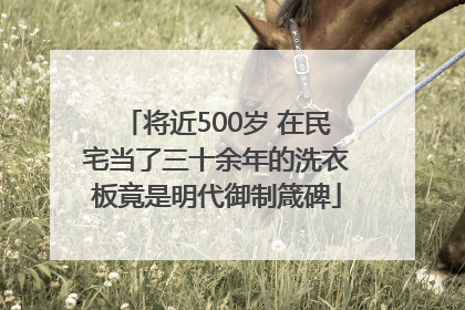 将近500岁 在民宅当了三十余年的洗衣板竟是明代御制箴碑