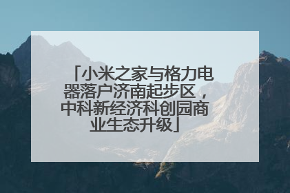小米之家与格力电器落户济南起步区，中科新经济科创园商业生态升级