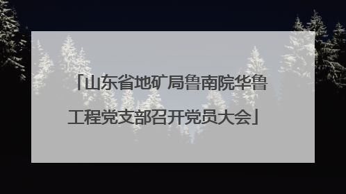 山东省地矿局鲁南院华鲁工程党支部召开党员大会