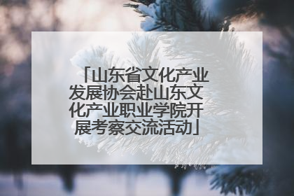 山东省文化产业发展协会赴山东文化产业职业学院开展考察交流活动