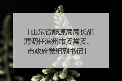 山东省能源局局长胡薄调任滨州市委常委、市政府党组副书记