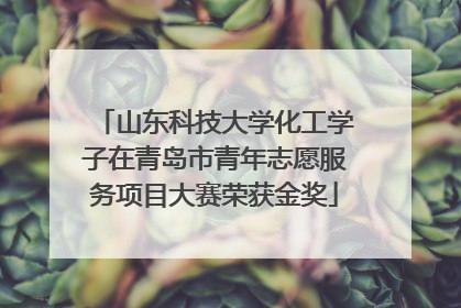 山东科技大学化工学子在青岛市青年志愿服务项目大赛荣获金奖