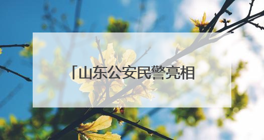 山东公安民警亮相国新办，24年从警生涯陈强用警徽照亮国际维和路