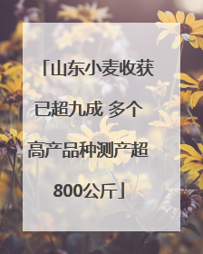 山东小麦收获已超九成 多个高产品种测产超800公斤