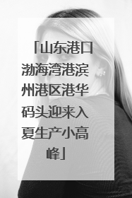 山东港口渤海湾港滨州港区港华码头迎来入夏生产小高峰