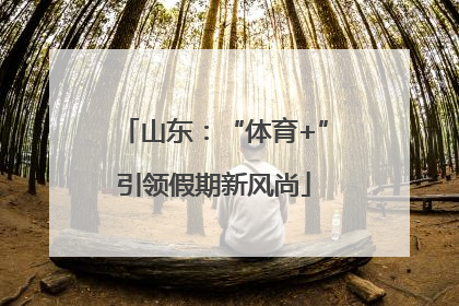 山东：“体育+”引领假期新风尚