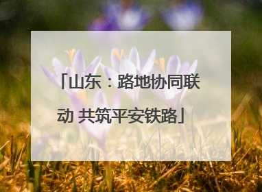 山东：路地协同联动 共筑平安铁路