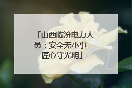山西临汾电力人员：安全无小事 匠心守光明