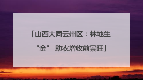 山西大同云州区：林地生“金” 助农增收前景旺