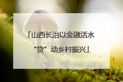 山西长治以金融活水“贷”动乡村振兴