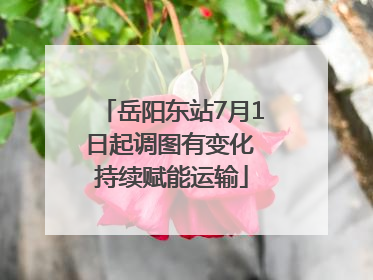 岳阳东站7月1日起调图有变化 持续赋能运输