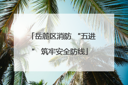 岳麓区消防 “五进” 筑牢安全防线