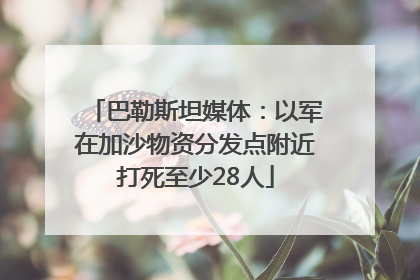 巴勒斯坦媒体：以军在加沙物资分发点附近打死至少28人