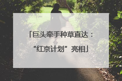 巨头牵手种草直达：“红京计划”亮相