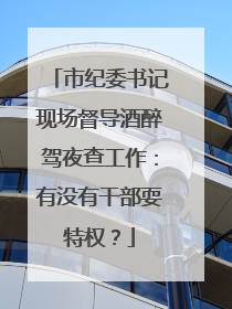 市纪委书记现场督导酒醉驾夜查工作：有没有干部耍特权？