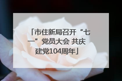 市住新局召开“七一”党员大会 共庆建党104周年