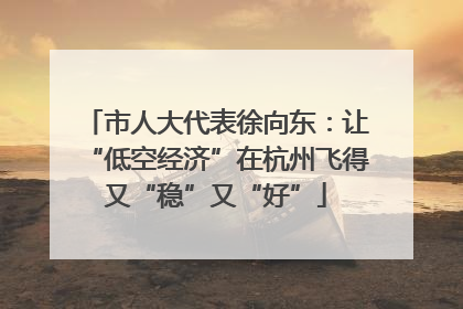 市人大代表徐向东：让“低空经济”在杭州飞得又“稳”又“好”