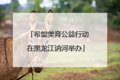 希望美育公益行动在黑龙江讷河举办