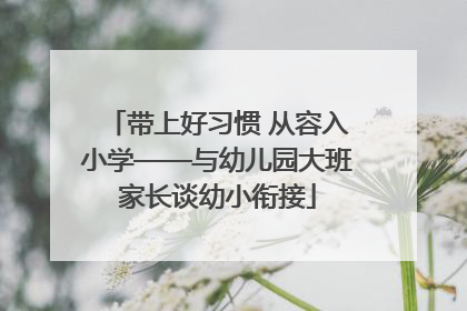 带上好习惯 从容入小学——与幼儿园大班家长谈幼小衔接
