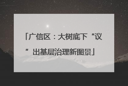 广信区：大树底下“议”出基层治理新图景