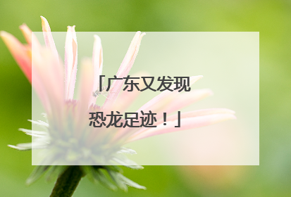 广东又发现恐龙足迹！