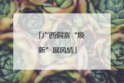广西侗寨“焕新”展风情