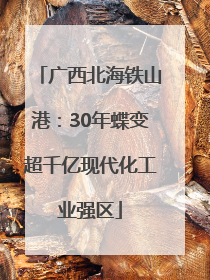 广西北海铁山港：30年蝶变超千亿现代化工业强区
