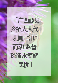 广西藤县乡镇人大代表闻“汛”而动 监督疏通水渠解民忧