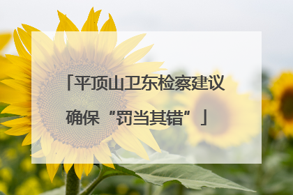 平顶山卫东检察建议确保“罚当其错”