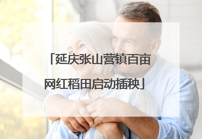 延庆张山营镇百亩网红稻田启动插秧