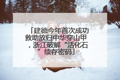建德今年首次成功救助放归中华穿山甲，浙江破解“活化石”续存密码