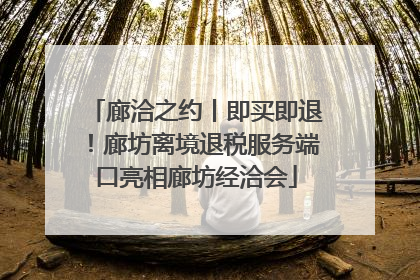 廊洽之约丨即买即退！廊坊离境退税服务端口亮相廊坊经洽会