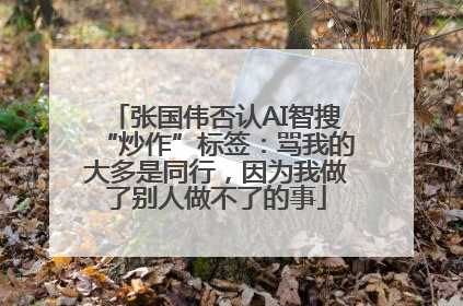 张国伟否认AI智搜“炒作”标签：骂我的大多是同行，因为我做了别人做不了的事