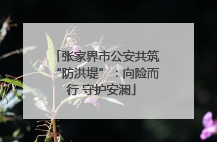 张家界市公安共筑“防洪堤”：向险而行 守护安澜