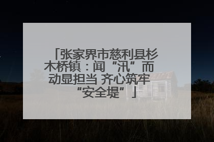 张家界市慈利县杉木桥镇：闻“汛”而动显担当 齐心筑牢“安全堤”