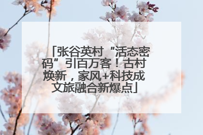 张谷英村“活态密码”引百万客！古村焕新，家风+科技成文旅融合新爆点