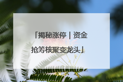 揭秘涨停｜资金抢筹核聚变龙头