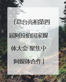 总台亮相第四届阿拉伯国家媒体大会 聚焦中阿媒体合作