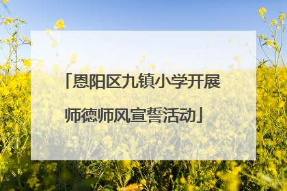 恩阳区九镇小学开展师德师风宣誓活动