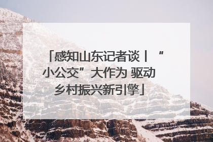感知山东记者谈丨“小公交”大作为 驱动乡村振兴新引擎