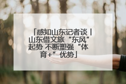 感知山东记者谈丨山东借文旅“东风”起势 不断塑强“体育+”优势