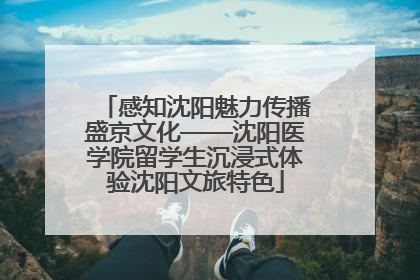 感知沈阳魅力传播盛京文化——沈阳医学院留学生沉浸式体验沈阳文旅特色