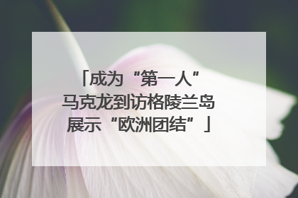 成为“第一人” 马克龙到访格陵兰岛展示“欧洲团结”