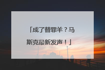 成了替罪羊？马斯克最新发声！